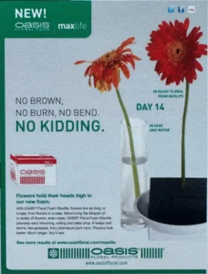 A magazine ad for OASIS® Floral Foam MaxLife that states, "No Brown, No Burn, No Kidding".