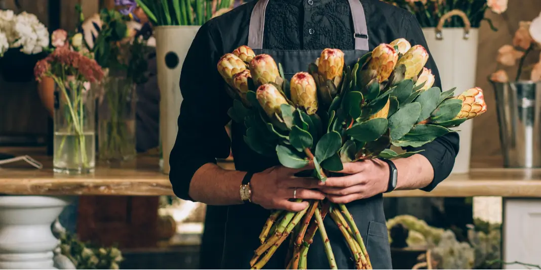 A male florist holds closed protea in a florist's shop.