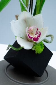 An orchid in a cube of OASIS® Renewal™ Floral Foam.